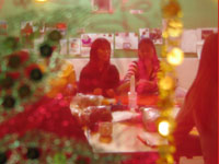 image of 2 women through green sari